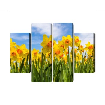Mehrteiliges Bild Narzissenfeld 3D