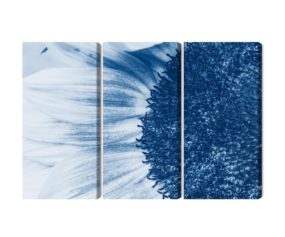 Mehrteiliges Bild Blaue Sonnenblume Im Makromaßstab