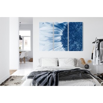 Mehrteiliges Bild Blaue Sonnenblume Im Makromaßstab
