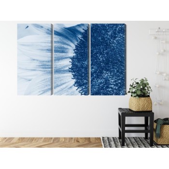 Mehrteiliges Bild Blaue Sonnenblume Im Makromaßstab