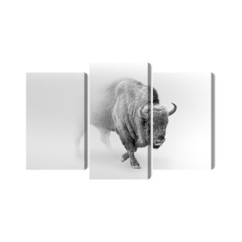 Mehrteiliges Bild Bison Im Nebel 3D