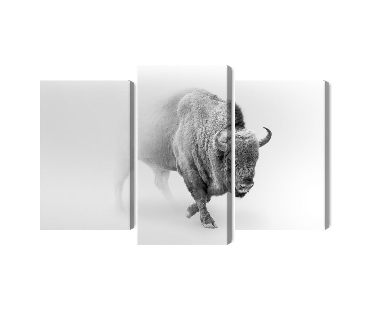 Mehrteiliges Bild Bison Im Nebel 3D