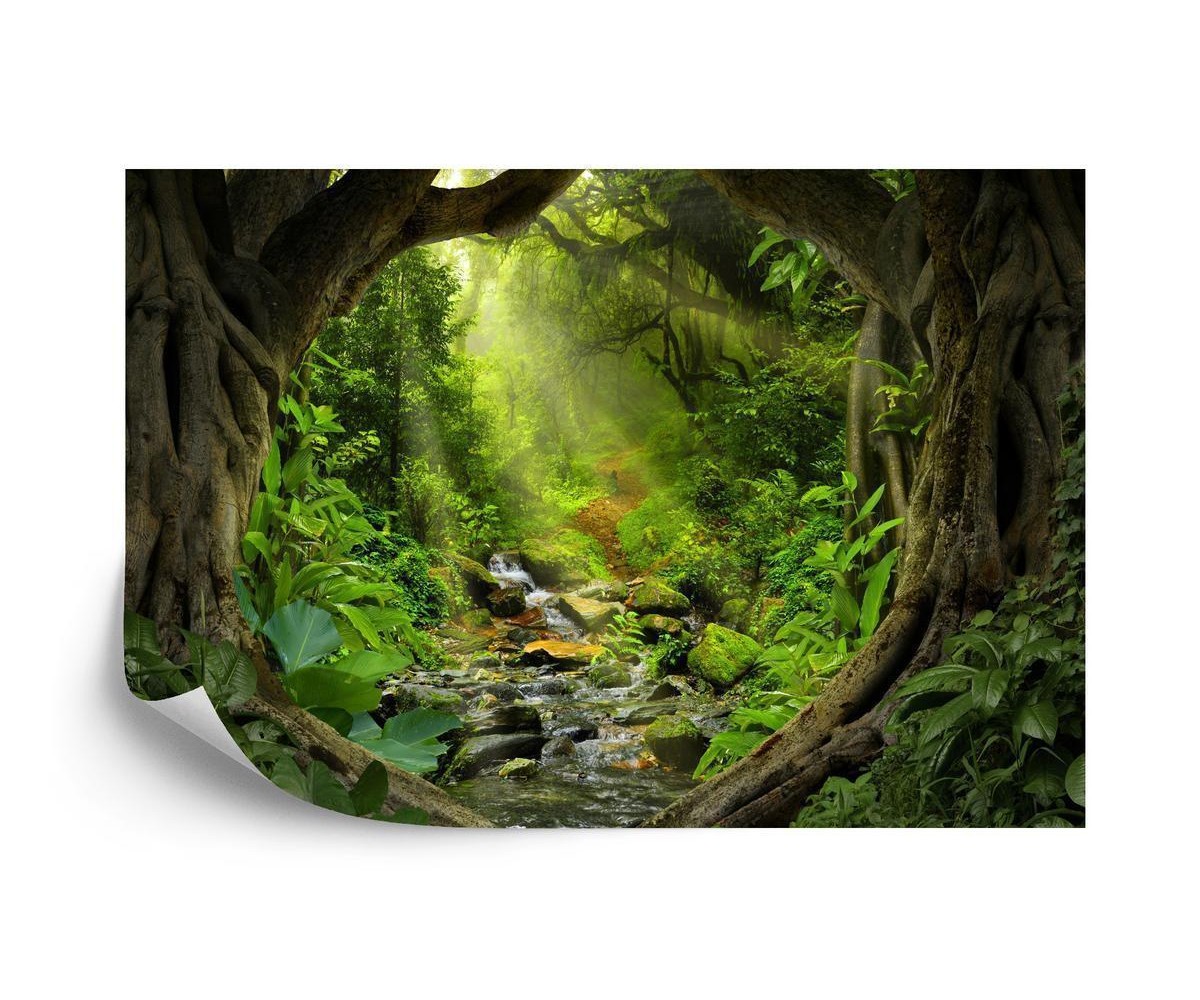 Fototapete Der Verborgene Weg