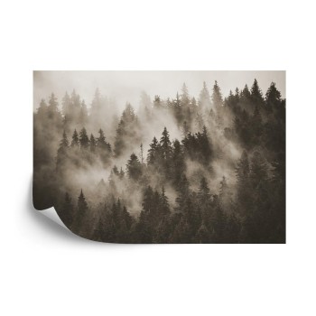 Fototapete Wald Im Nebel In Sepia