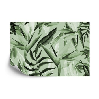 Fototapete Tropicalia-Grün