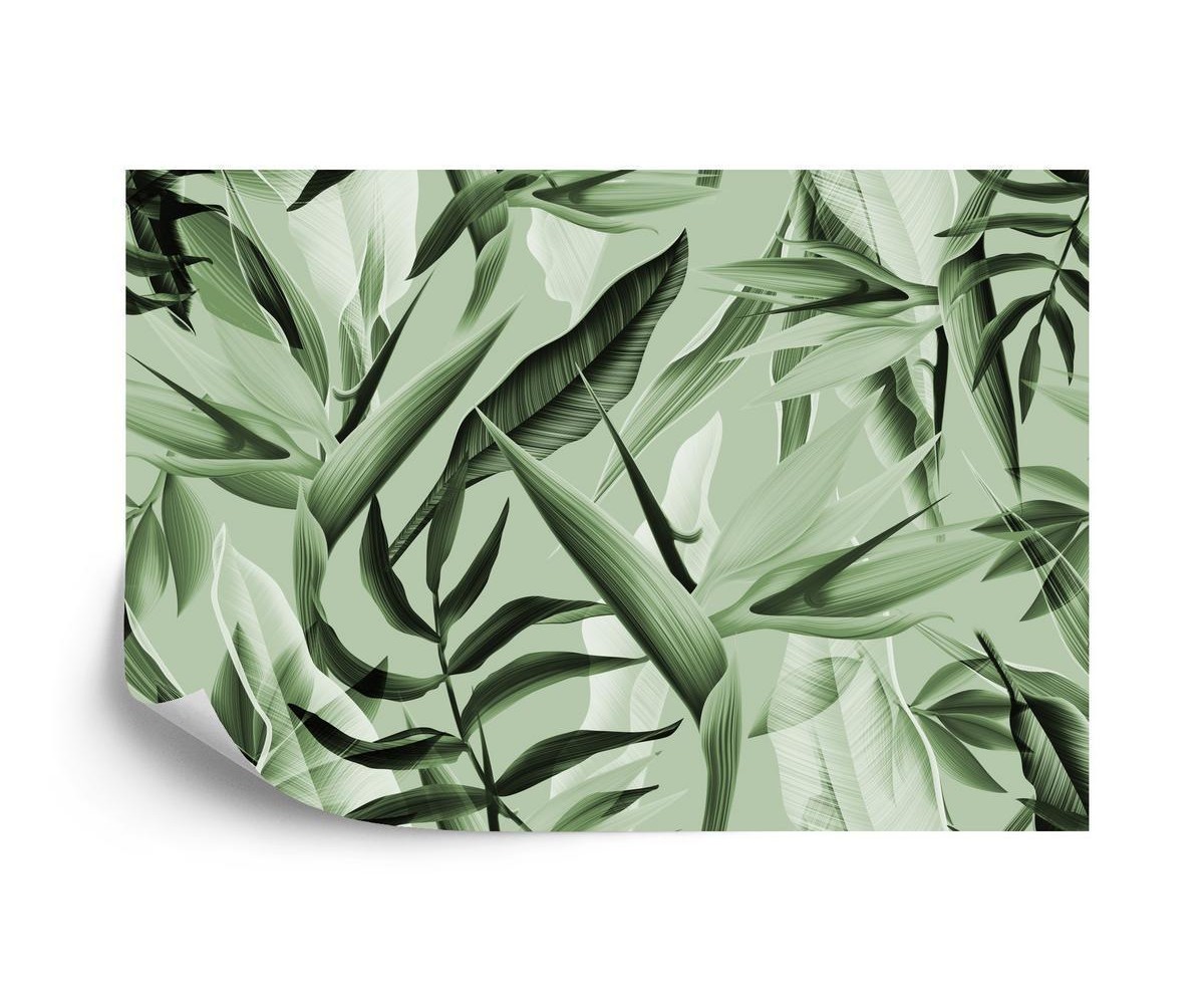 Fototapete Tropicalia-Grün