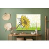 Leinwandbild Gezeichnete Sonnenblume Im Retro-Stil