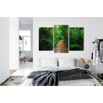 Mehrteiliges Bild Holzbrücke In Einem Tropischen Wald 3D
