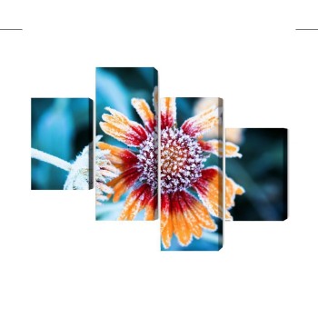Mehrteiliges Bild Rudbeckia-Blüten Mit Reif Bedeckt