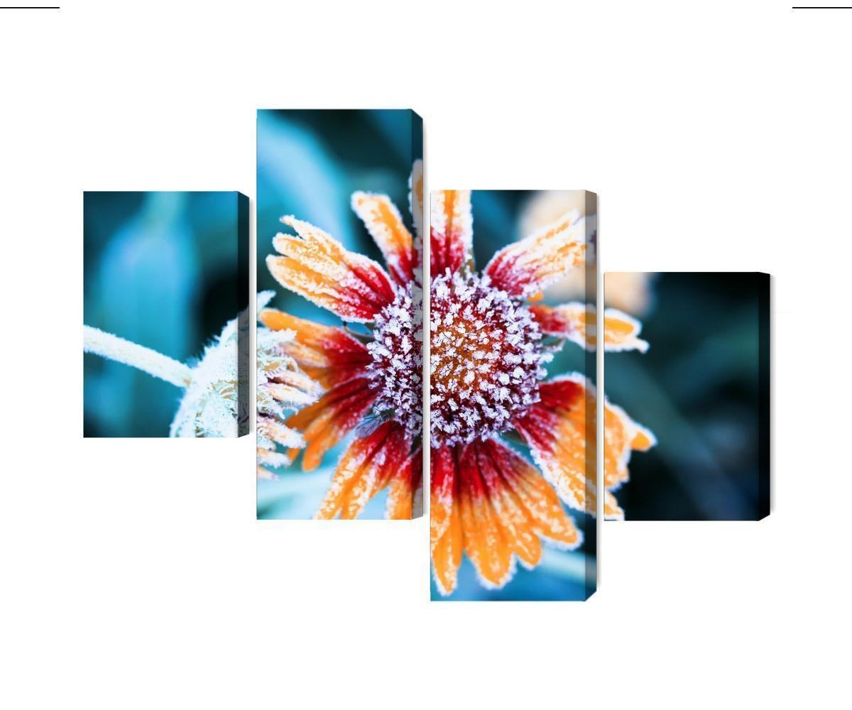 Mehrteiliges Bild Rudbeckia-Blüten Mit Reif Bedeckt