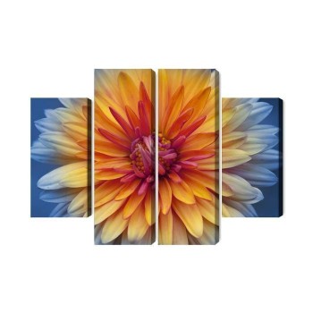 Mehrteiliges Bild Chrysanthemenblume Hautnah 3D