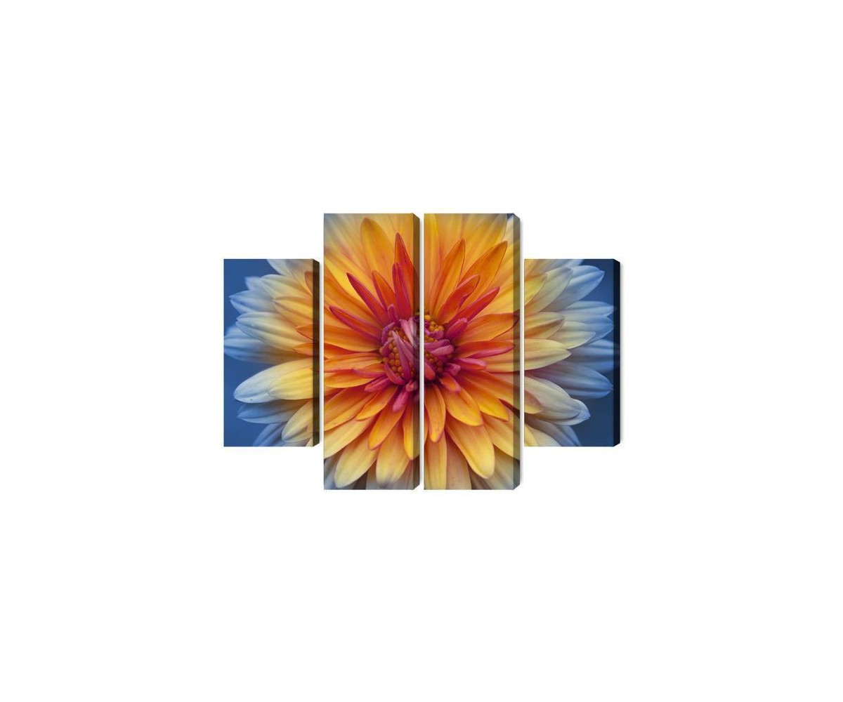 Mehrteiliges Bild Chrysanthemenblume Hautnah 3D