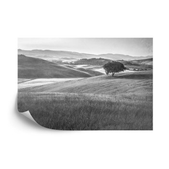 Fototapete Rolling Hills Faded Vintage In Schwarz-Weiß