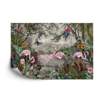 Fototapete Wallpaper Jungle And Tropical Forest Banana Palm And Tropical Birds  Old Drawing