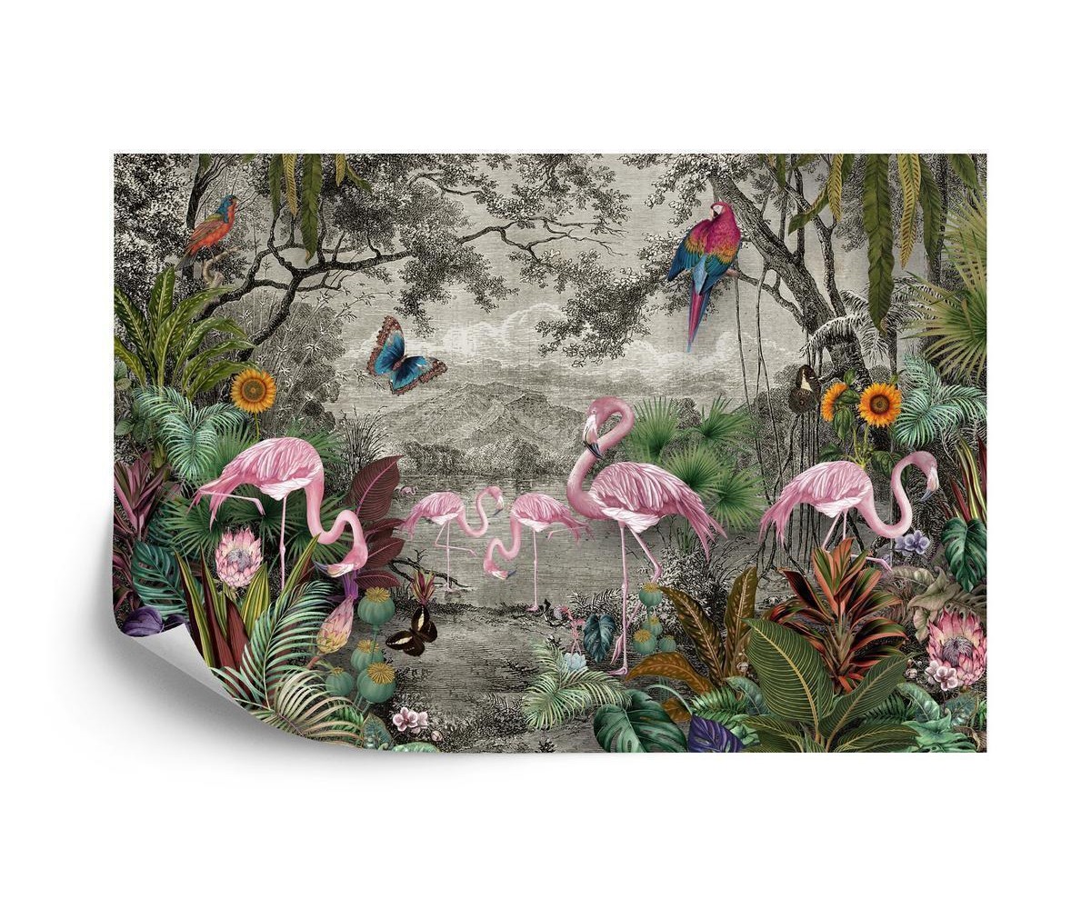 Fototapete Wallpaper Jungle And Tropical Forest Banana Palm And Tropical Birds  Old Drawing