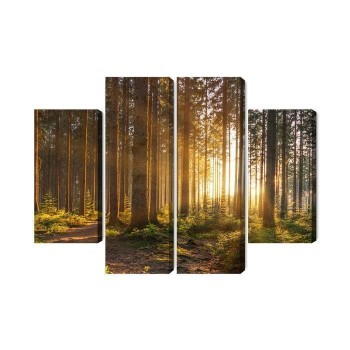 Mehrteiliges Bild Sonnenuntergang Im Wald