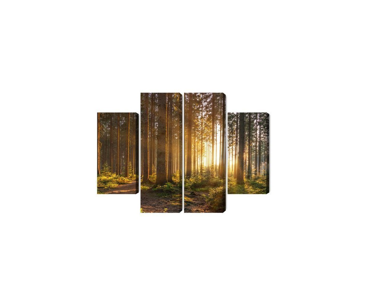 Mehrteiliges Bild Sonnenuntergang Im Wald