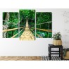 Mehrteiliges Bild Bambusbrücke Im Regenwald
