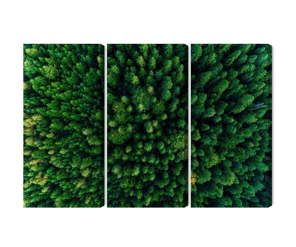 Mehrteiliges Bild Luftaufnahme Des Grünen Waldes
