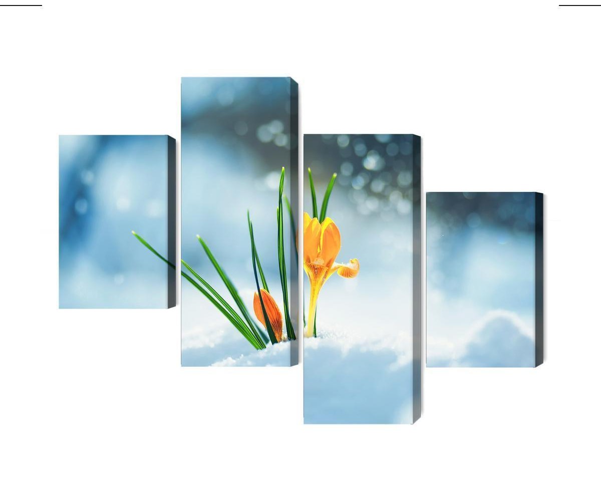 Mehrteiliges Bild Gelbe Krokusse  Die Durch Den Schnee Brechen