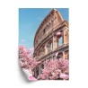 Poster Das Kolosseum In Rom Im Frühling