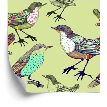 Tapete Bunte Vögel