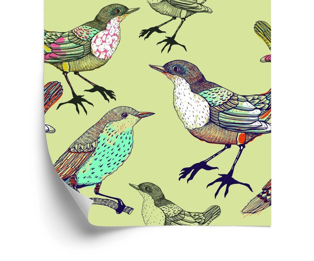 Tapete Bunte Vögel