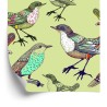 Tapete Bunte Vögel
