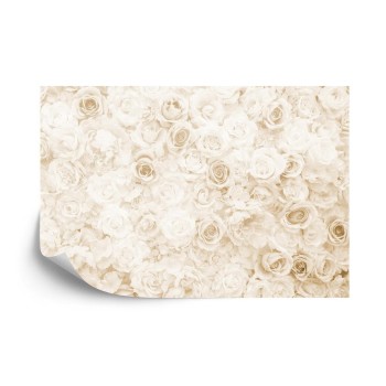 Fototapete Floral Verblasster Vinage Sepia