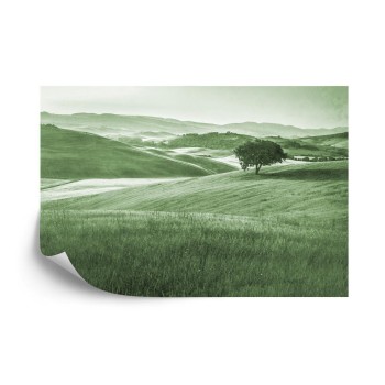 Fototapete Rolling Hills Verblasste Vintage In Grün