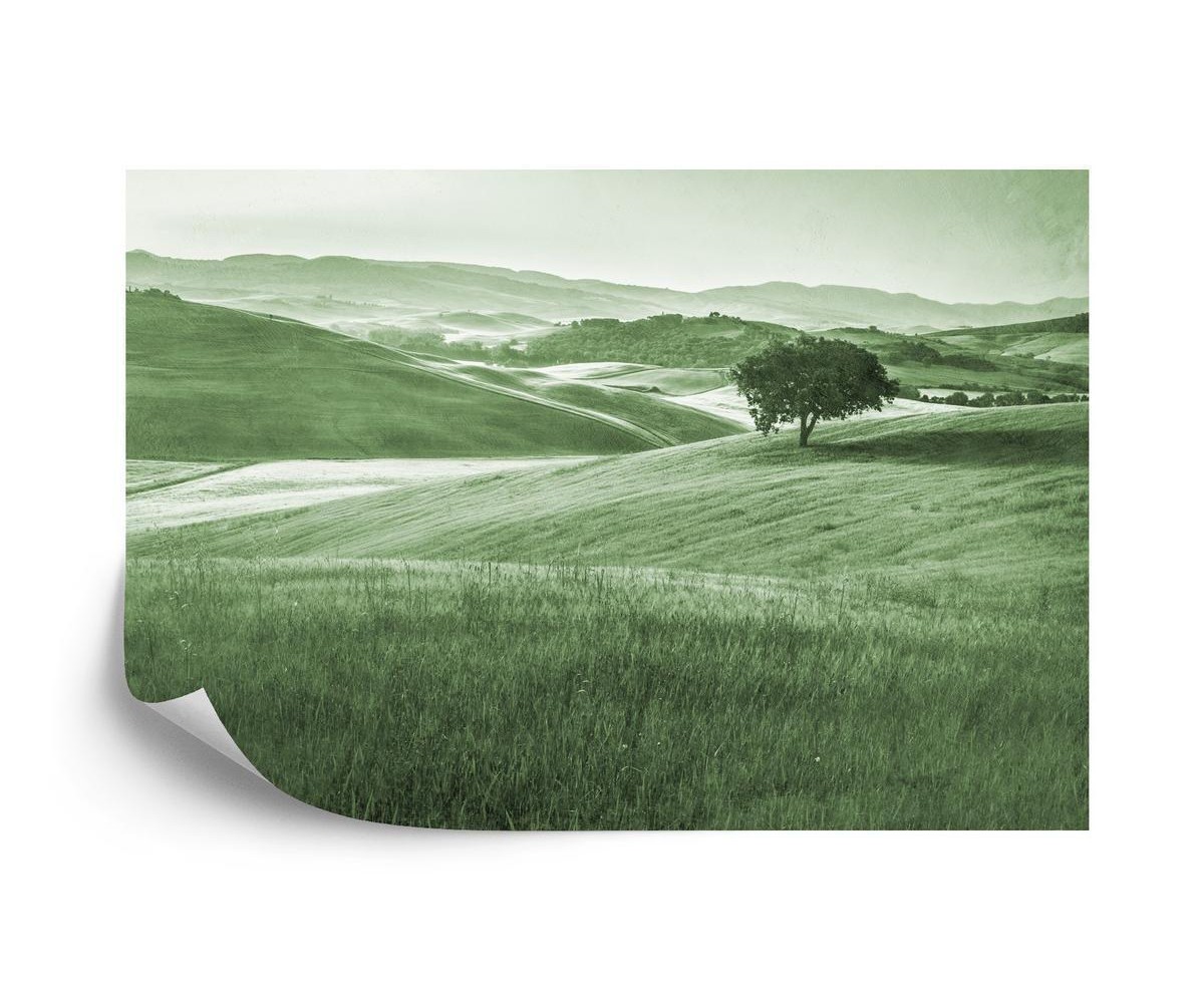 Fototapete Rolling Hills Verblasste Vintage In Grün