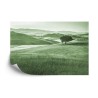 Fototapete Rolling Hills Verblasste Vintage In Grün