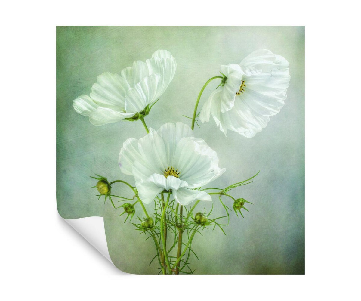 Fototapete Quadratisch Charme Des Kosmos Von Mandy Disher