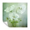Fototapete Quadratisch Charme Des Kosmos Von Mandy Disher