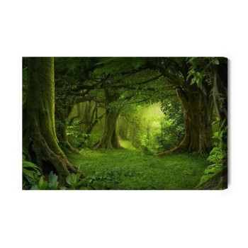 Leinwandbild Die Tiefe Des Tropischen Waldes