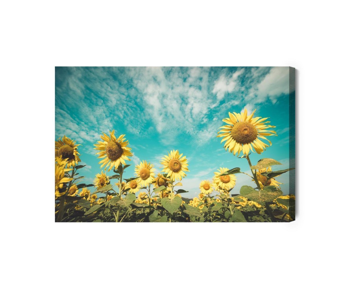 Leinwandbild Sonnenblumenfeld Gegen Den Himmel