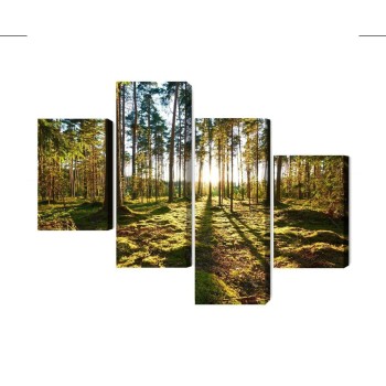 Mehrteiliges Bild Waldlandschaft Mit Sonnenuntergang