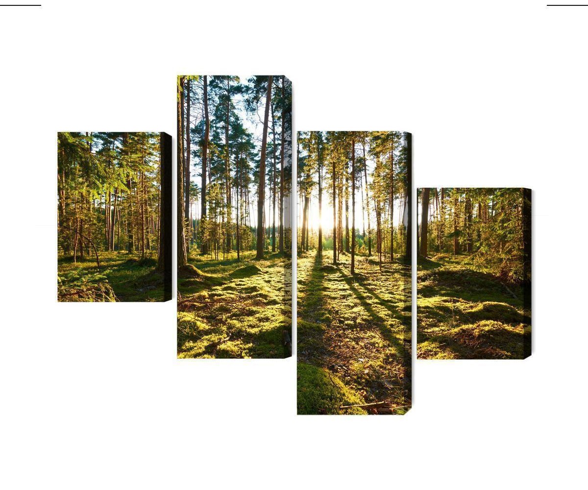 Mehrteiliges Bild Waldlandschaft Mit Sonnenuntergang