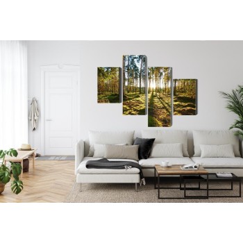 Mehrteiliges Bild Waldlandschaft Mit Sonnenuntergang