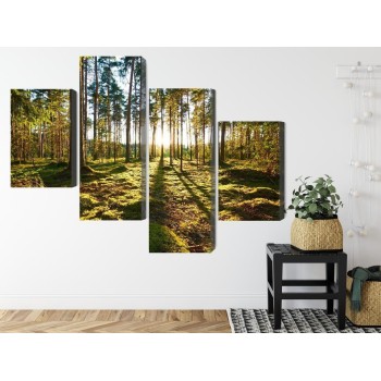 Mehrteiliges Bild Waldlandschaft Mit Sonnenuntergang