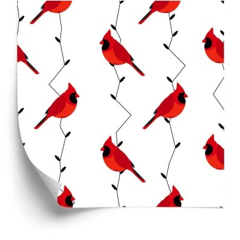 Tapete Schöne Bunte Vögel