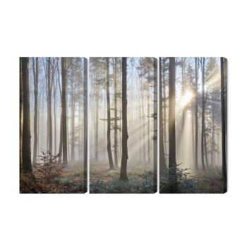 Mehrteiliges Bild Sonnenaufgang Im Wald