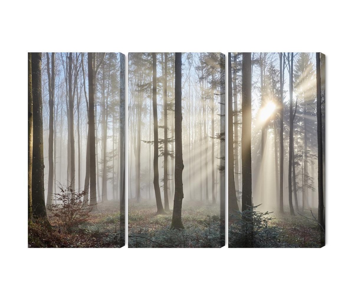 Mehrteiliges Bild Sonnenaufgang Im Wald