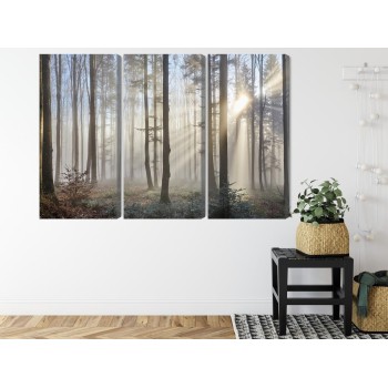 Mehrteiliges Bild Sonnenaufgang Im Wald
