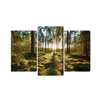 Mehrteiliges Bild Waldlandschaft Mit Sonnenuntergang