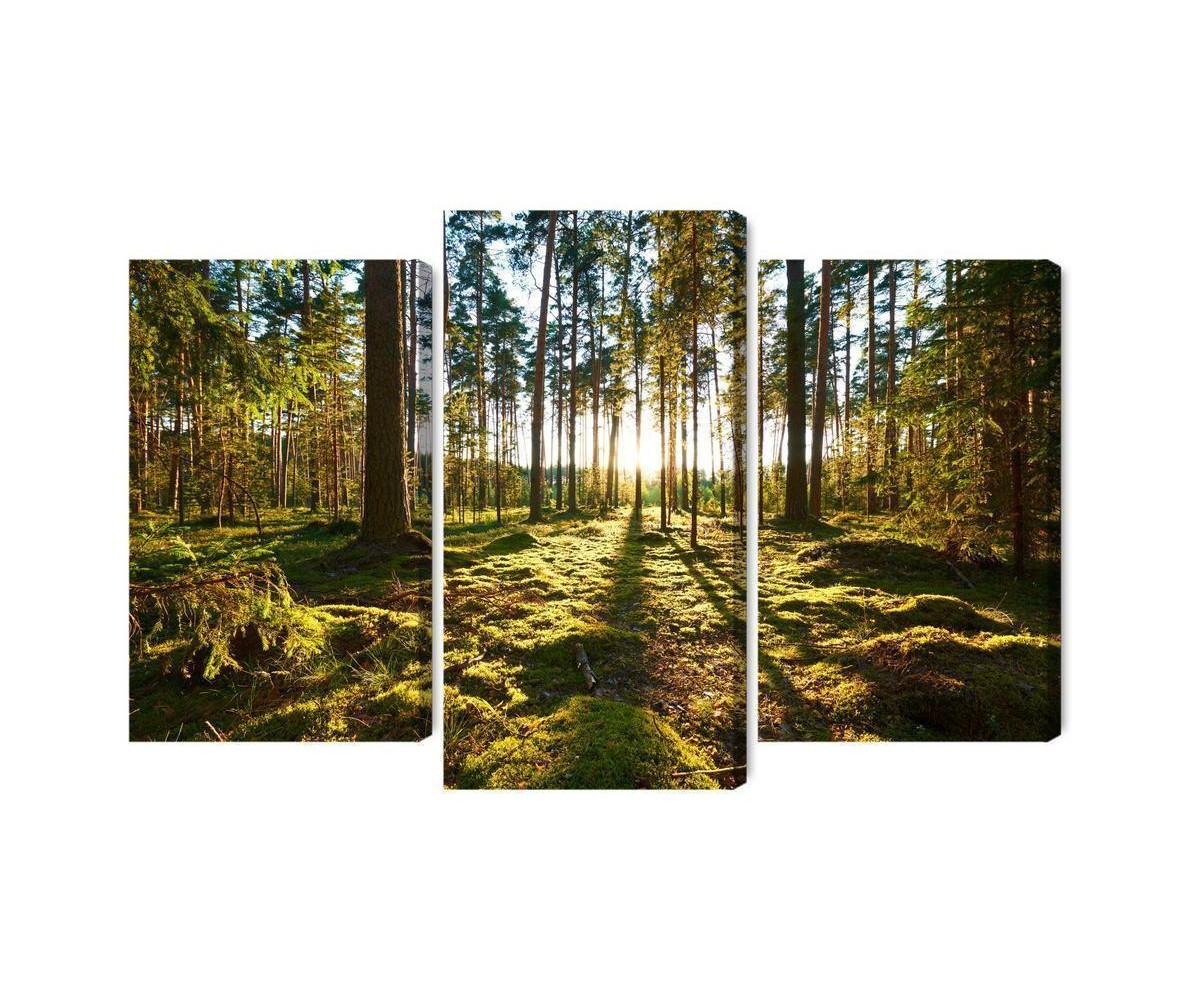 Mehrteiliges Bild Waldlandschaft Mit Sonnenuntergang