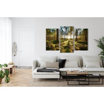 Mehrteiliges Bild Waldlandschaft Mit Sonnenuntergang