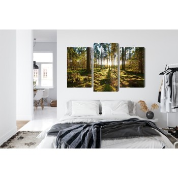 Mehrteiliges Bild Waldlandschaft Mit Sonnenuntergang