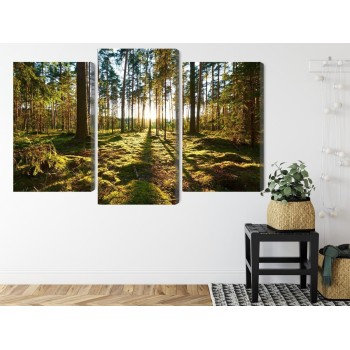 Mehrteiliges Bild Waldlandschaft Mit Sonnenuntergang