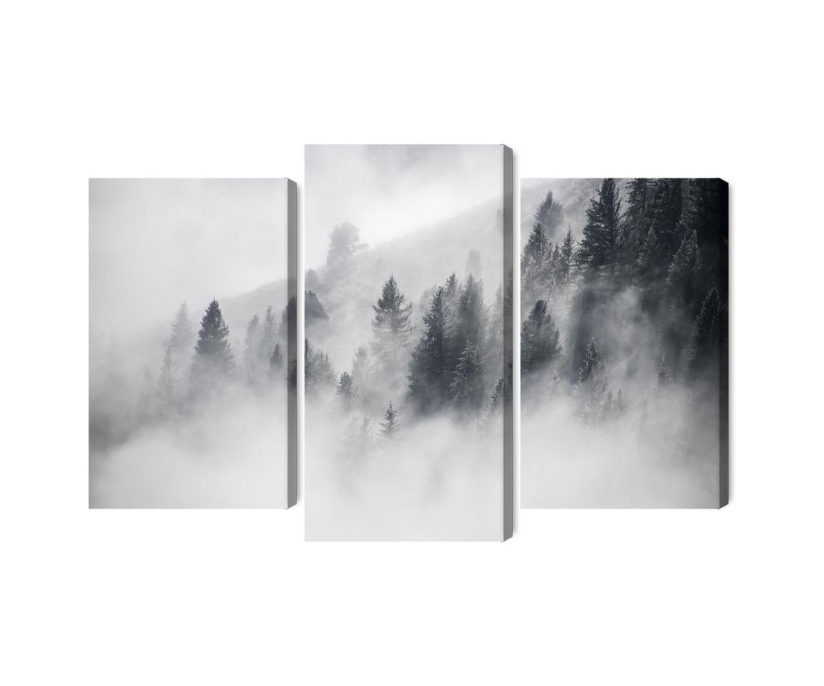 Mehrteiliges Bild Der Wald Ist In Nebel Gehüllt